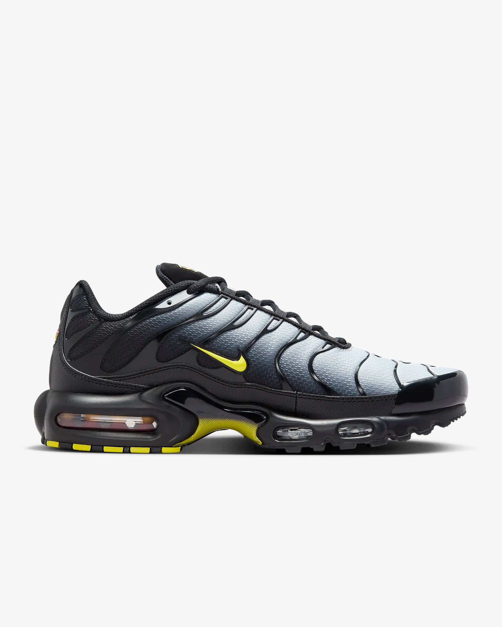 Nike Air Max Plus Loup 